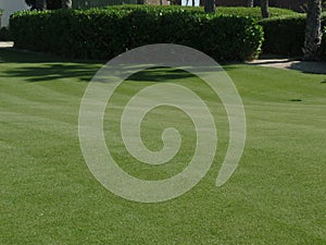 Close up image of a golf course