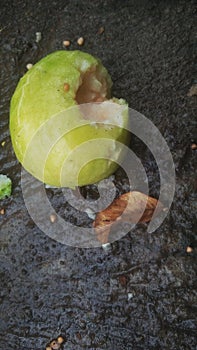 Close up image of guava fruit or buah jambu photo