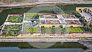 Close up image of Kesar Kyari Saffron Garden on Maota Lake in Jaipur, Rajasthan, India