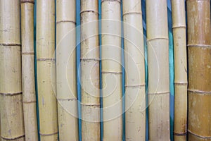 Close up image of an old bamboo wall. decorative wall panel, colorful bamboo stems in a vertical pattern. Group of
