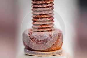 Close-up image of old rusty and bolt on steel surface with blurred background.