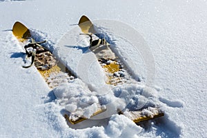 Close up image of pair old fashioned wooden yellow skis on the white snow