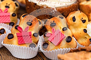 Close up bear-shaped biscuits