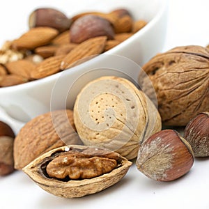 Close up walnut and nuts photo