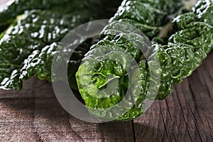 Close up image of silverbeet leaves
