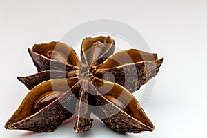 Close up image of a star anise  on white background