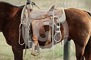 A close up image of a western saddle on a work horse on a ranch or farm with a vintage feel