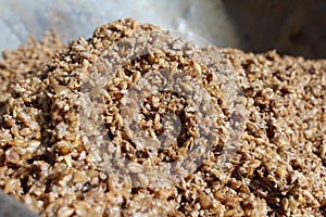 Close up image of wet spent malt grains