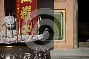 Close up incense burner with incense sticks pray and show respect to god as chinese style with temple background. Traditional chin