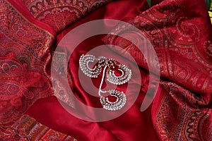 Close up of an Indian Saree design,Banarasi Saree