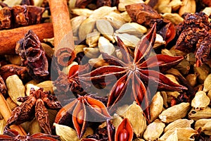 Close up of Indian spices