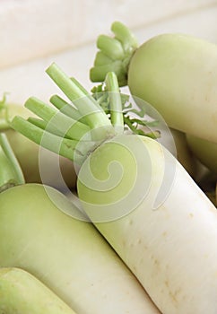 Close up Indian white radishes on the market.