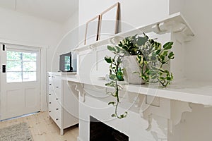 Close up of indoor pot plant in bedroom on a ledge