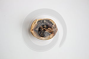 Close-up of infected walnut besides an healthy one.