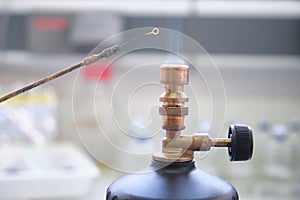 Close up of inoculation loop being sterilized in flame of gas bunsen burner in a laboratory