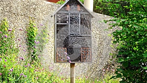 Close-up of Insect house or special hotel for hexapods preservation of biodiversity. Ecology concept