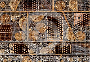 Close up of insect housing and nesting house box