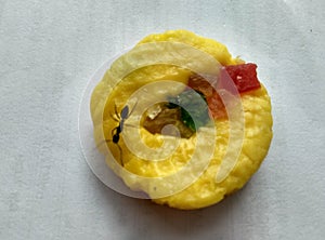 Close up of insects on Indian sweet peda or pedha