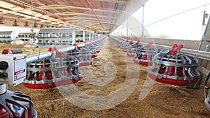 Close up of the inside of a modern poultry house