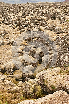 Close up of interesting rock formation covered in moss. Volcanic lava field