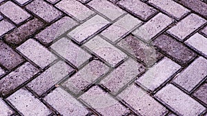 Close-Up of Interlocking Brick Pavement with Herringbone Pattern