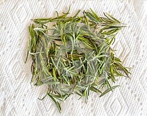Close up of isolated Aromatic Fresh rosemary drying on a paper towel