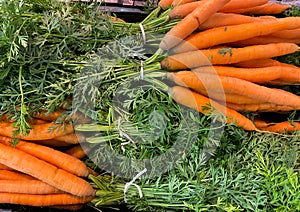 Close up of isolated bunch fresh raw carrots with green leaves on german market focus on center photo