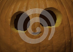 Close up isolated carved Halloween pumpkin