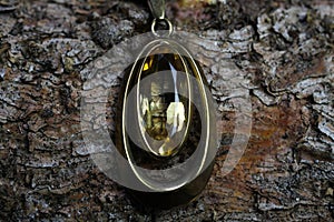 Close up of isolated old vintage golden necklace chain pendant with yellow citrine quartz gemstone on natural tree trunk bark