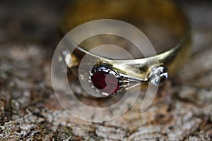 Close up of isolated old vintage golden ring with diamond and red ruby gemstone on natural tree trunk bark background