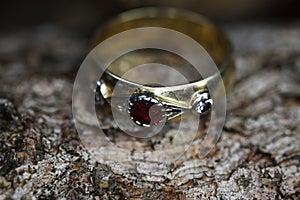 Close up of isolated old vintage golden ring with diamond and red ruby gemstone on natural tree trunk bark background