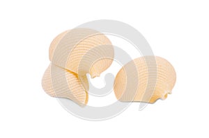 Close up of Italian pasta shells.