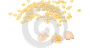 Close up of Italian pasta shells.
