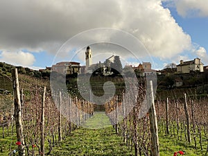 Close-up of an Italian vineyard with a quaint little village on a hill in the background.