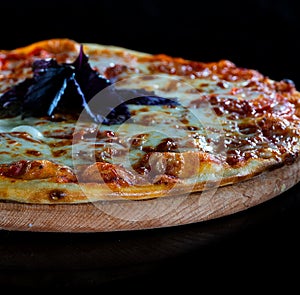 Close up Italy hot pizza with cheese, tomatoes and purple basil isolated on black background