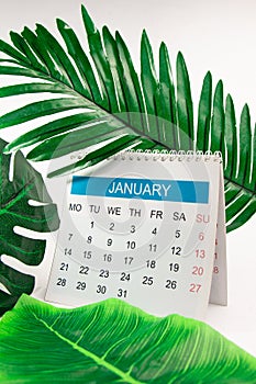 Close up January calendar page