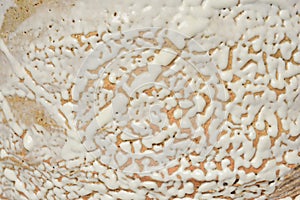 Close up of Japanese Ceramic Creamy Vase texture