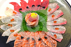 Close-up Japanese food raw fish mixed sashimi in plate Japanese