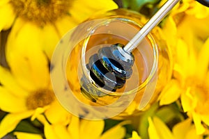 Close-up of jar full with honey and honey-spoon in the middle of sunflowers