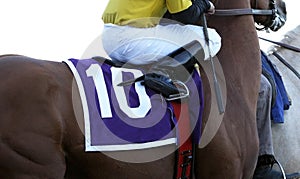 Close Up Jockey on Racehorse