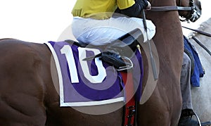 Close Up Jockey on Racehorse photo