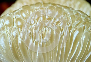 Close-up Juice Vesicle of Peeled Pomelo Fruit Segment