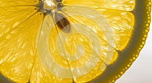 Close Up of a Juicy Yellow Lemon Slice