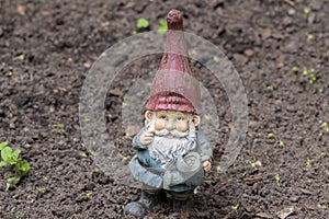 Close Up Kabouter In The Sand At Amsterdam The Netherlands 6-5-2024