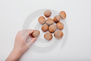 close up, kid hand with many walnuts isolated on white background,