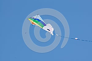 close up of a kite flying on a sunny summers day