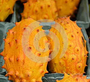 Close up of a kiwano or horned melon.