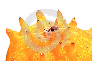Close up of kiwano - studio shot
