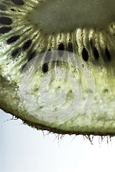 Close up of kiwi fruit on a white light background, macro, close up