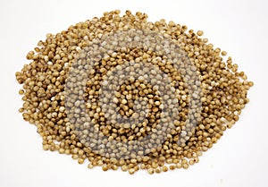 Close-up of kodo millet grains on a  white background